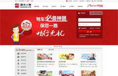 电商网站-国华人寿网站案例